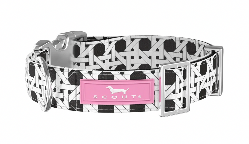 DOG COLLAR