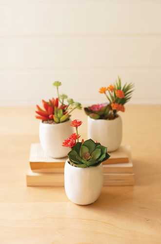 Artificial Succulent Plants In a White Ceramic Pot (Set of 3)